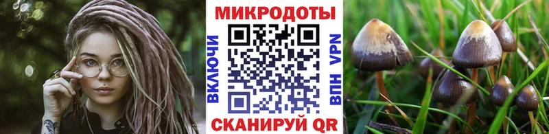 omg как войти  Алзамай  Псилоцибиновые грибы MAGIC MUSHROOMS 