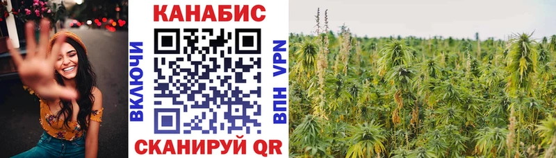 Бошки марихуана ГИДРОПОН Алзамай